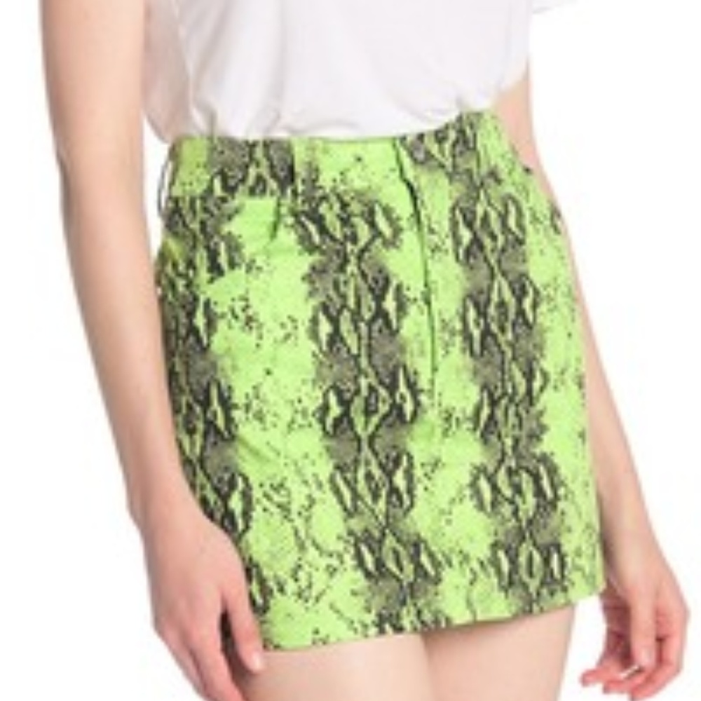 Snake Print Mini Skirt